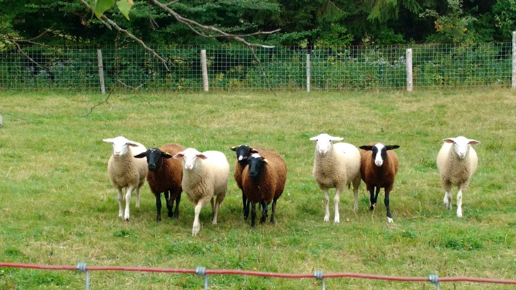 La ferme mille fleurs | 929 rang 9, Saint-Lazare-de-Bellechasse, QC G0R 3J0, Canada | Phone: (418) 882-7401