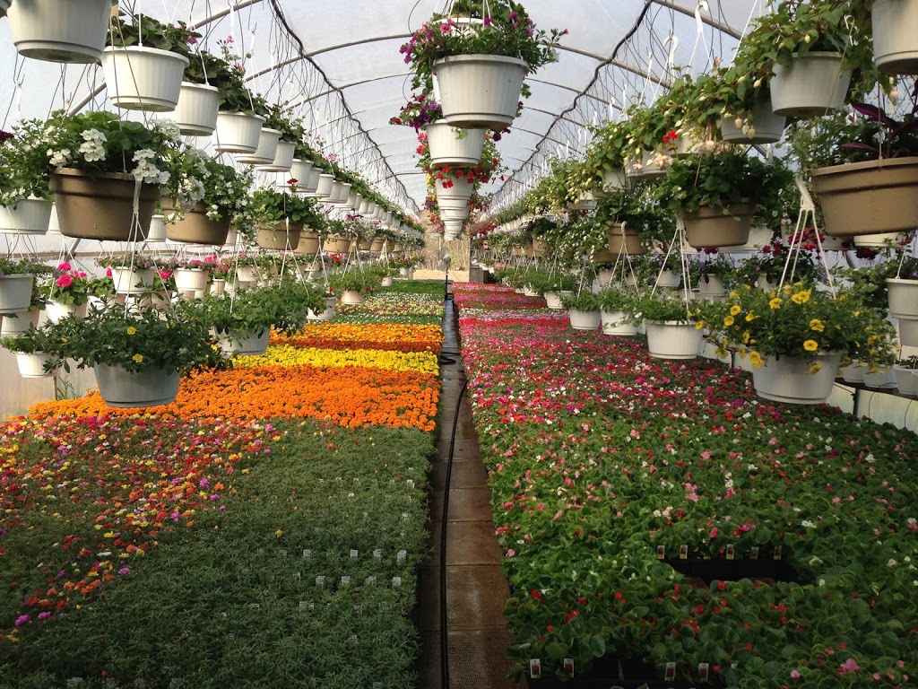 Erkelens Greenhouses | 5237 Governors Rd, Lynden, ON L0R 1T0, Canada | Phone: (519) 647-2573