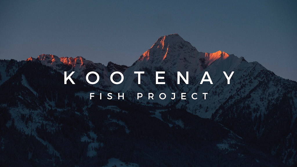 Kootenay Fish Project | 2 Ave, Fernie, BC V0B 1M0, Canada | Phone: (236) 991-8436