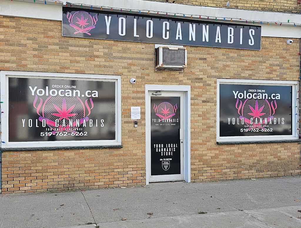 Yolo cannabis | 168 Currie Rd, Dutton, ON N0L 1J0, Canada | Phone: (519) 762-6262