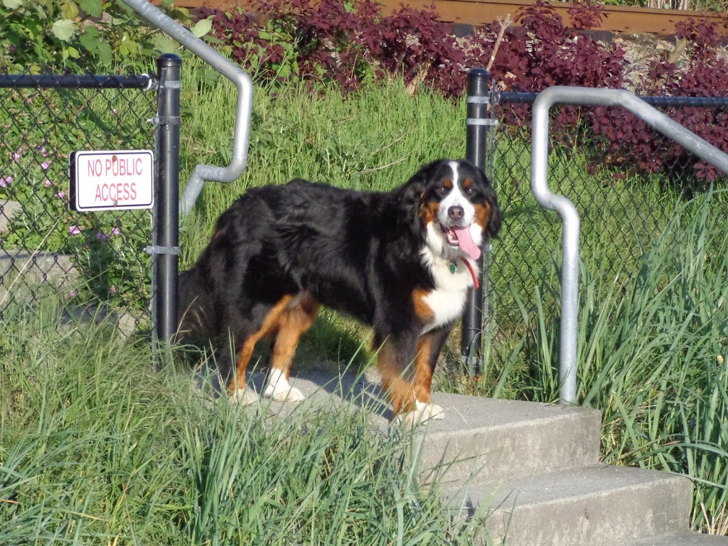 West Vancouver Centennial Seawalk | 2240 Bellevue Ave, West Vancouver, BC V7V 1C6, Canada