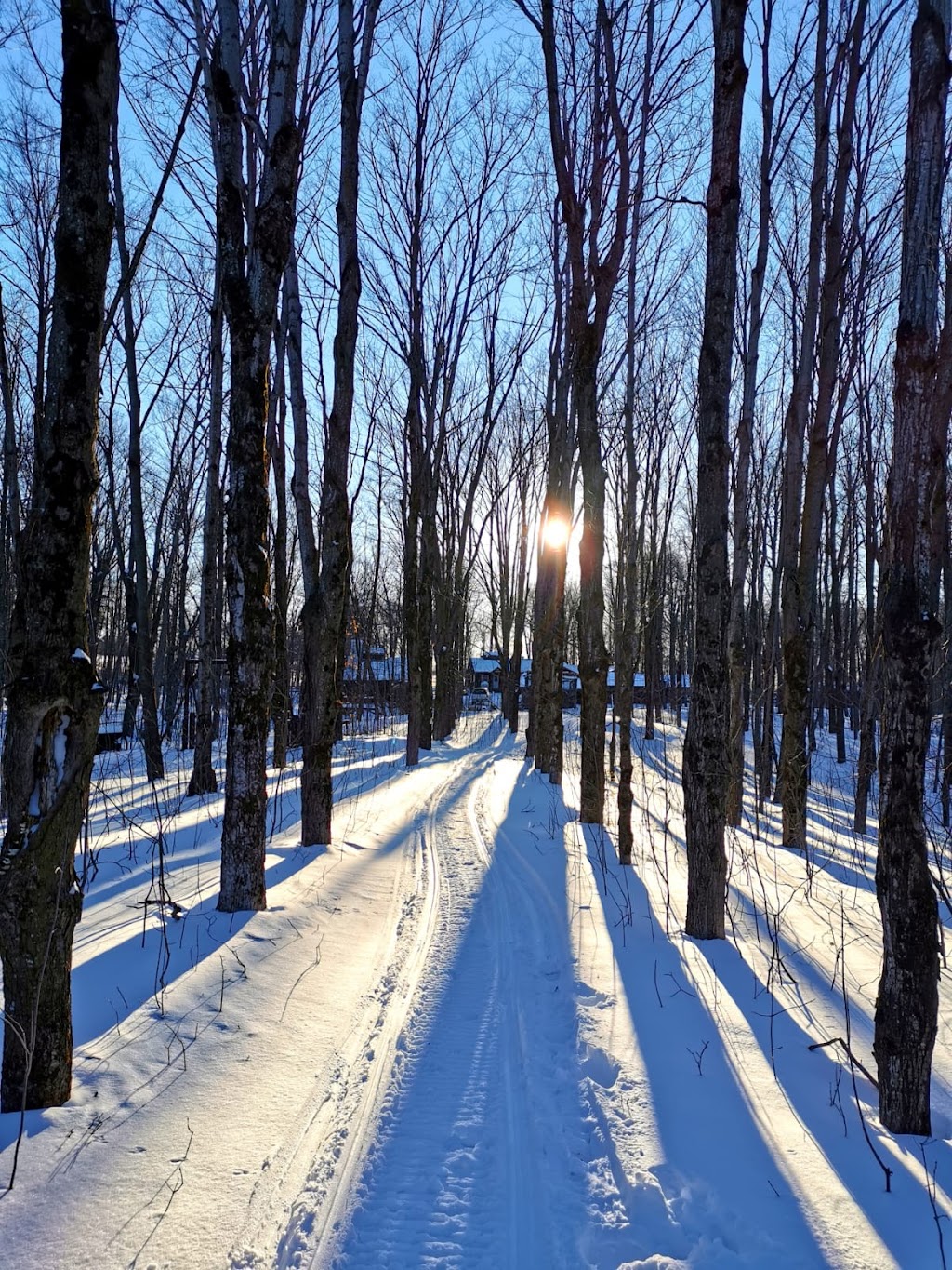 Randonnée Mïcklà | 320 route 116 Ouest, Plessisville, QC G6L 2Y2, Canada | Phone: (819) 362-1212