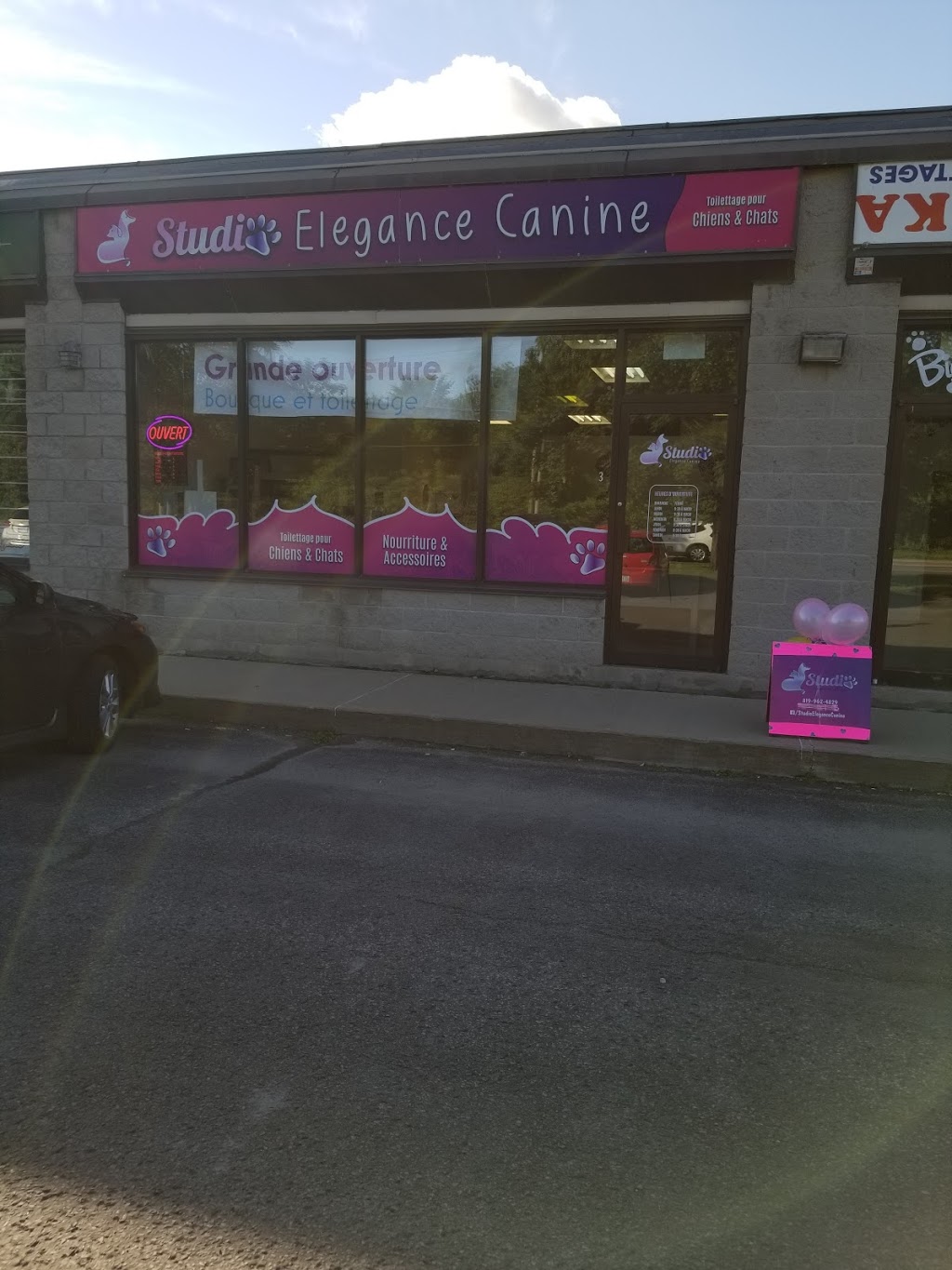 Studio Élégance Canine | 825 Boulevard Maloney E, Gatineau, QC J8P 1G5, Canada | Phone: (819) 962-4829