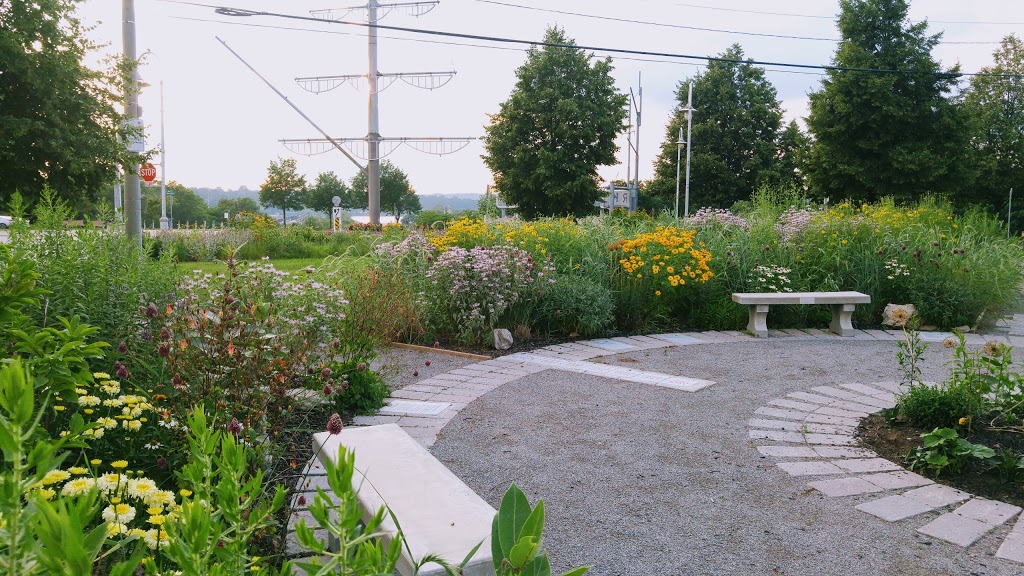 The Sunset Cultural Garden | 344 Bay St N, Hamilton, ON L8L 1M5 Bay St N, Hamilton, ON L8L 1M5, Canada