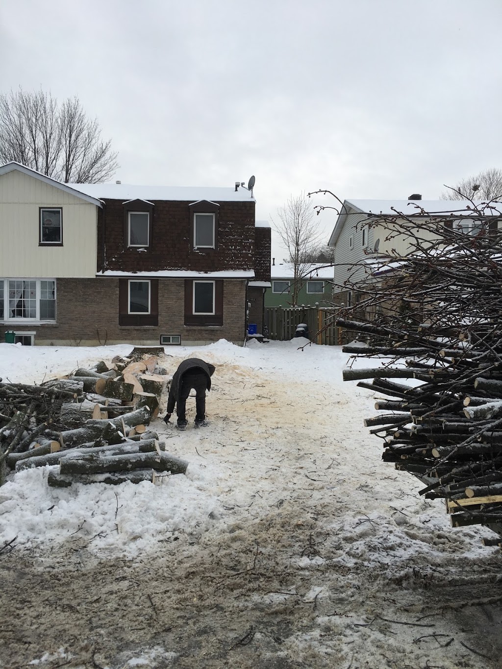 Aftermath Tree Care | 321 Marland Ave, Oshawa, ON L1J 1X3, Canada | Phone: (647) 771-8733