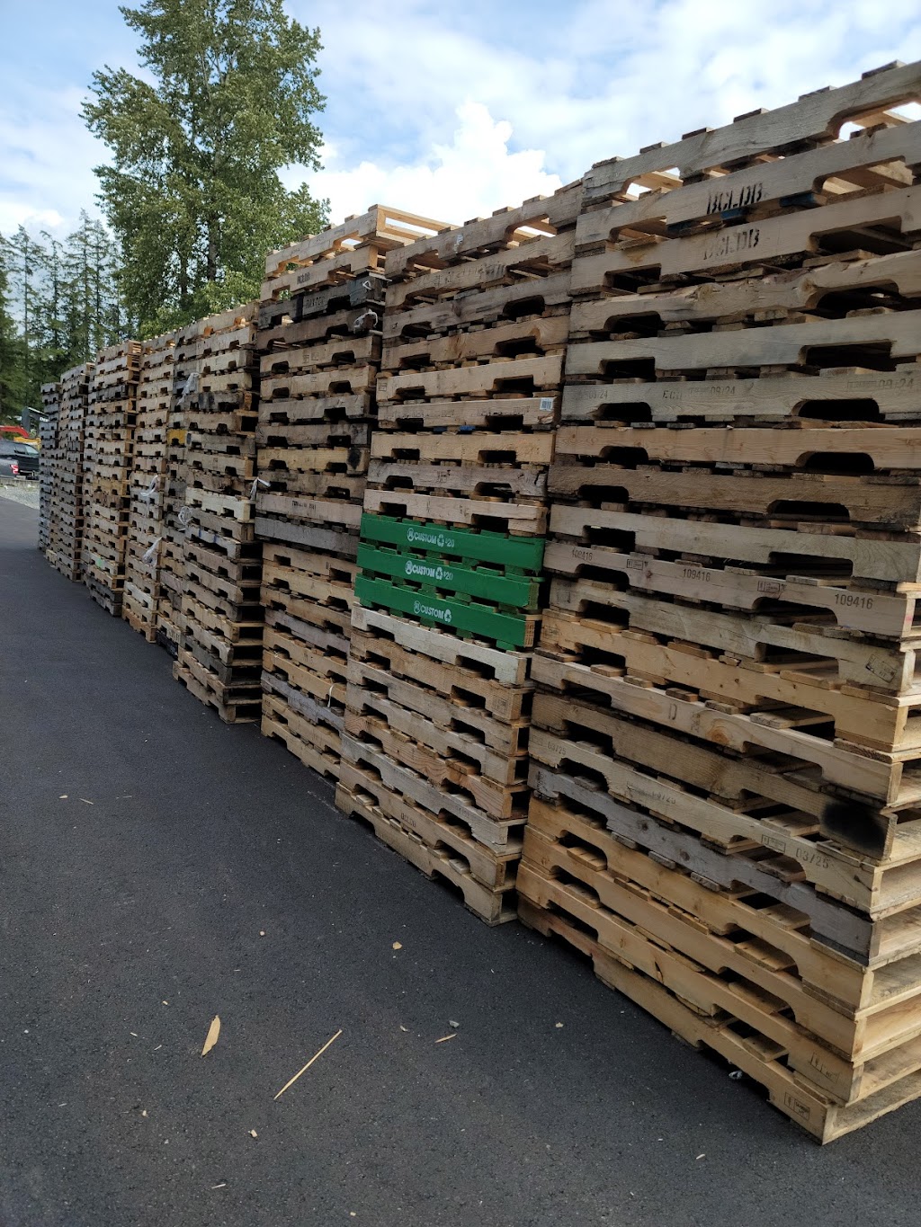 All Pallet Supplies inc | 7181 264 St, Langley Twp, BC V4W 1P8, Canada | Phone: (604) 613-4062