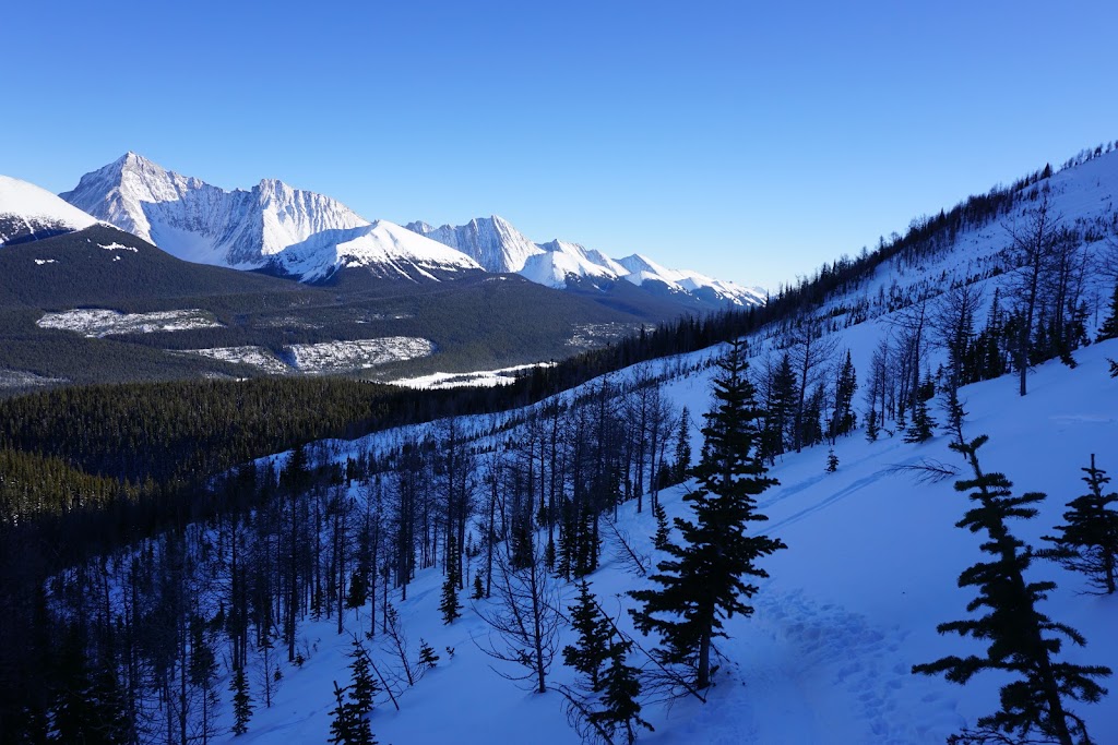 Tent Ridge Horseshoe Trail Head | Kananaskis, AB T0L 2C0, Canada | Phone: (403) 678-0760