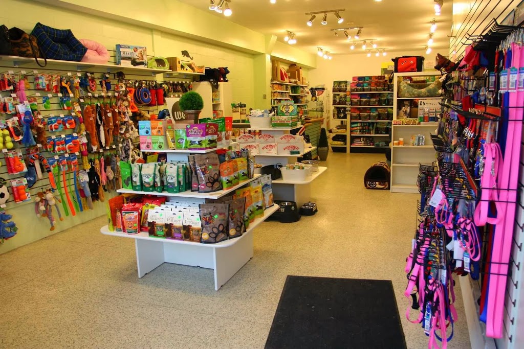 Pet Uno | 675 College St, Toronto, ON M6G 1B9, Canada | Phone: (647) 727-0758