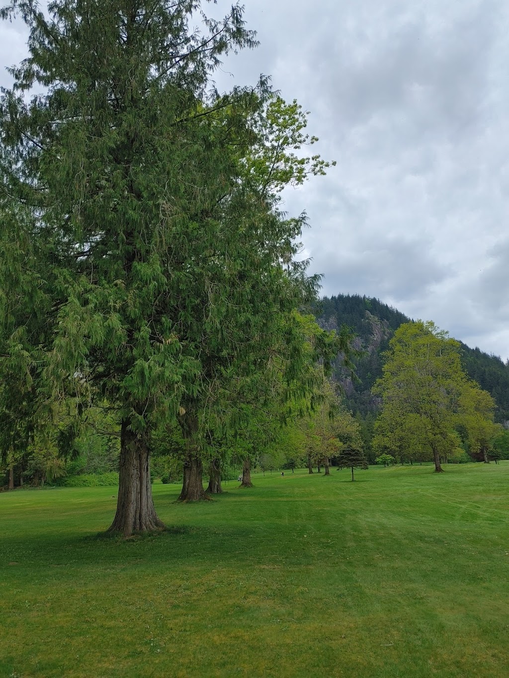 Harrison Resort Golf Course | 3891 Hot Springs Rd, Agassiz, BC V0M 1A1, Canada | Phone: (604) 796-9009