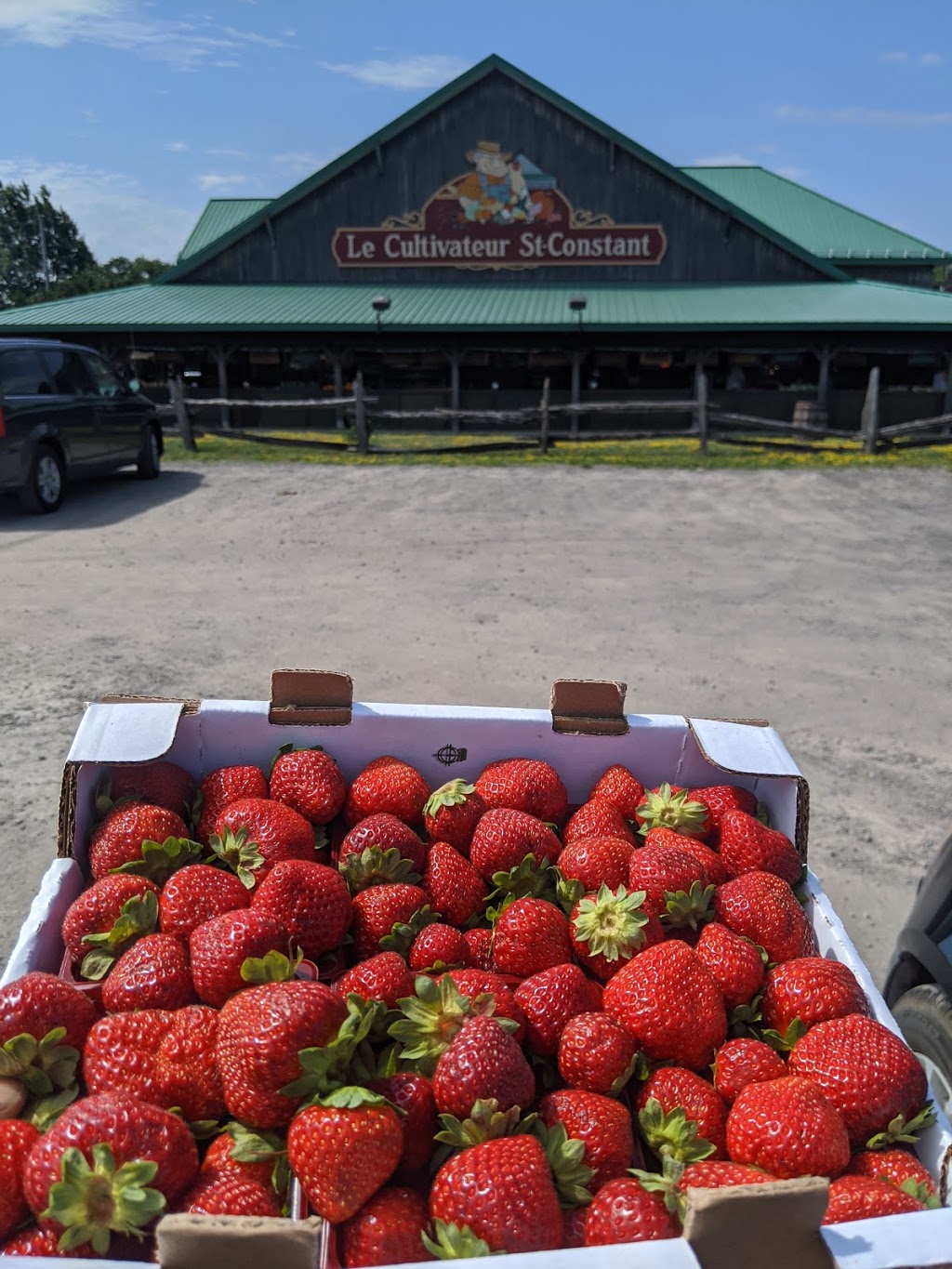 Cultivateur St Constant | 350 Voie de Desserte de la Route 132, Saint-Constant, QC J5A 1M3, Canada | Phone: (450) 635-2262