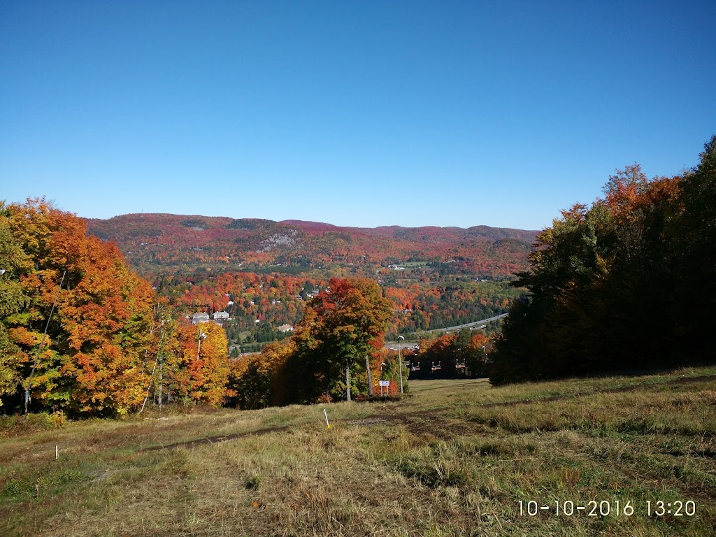 Construction Dubé-Lavoie | Chem. de Vimy, Piedmont, QC J0R 1K0, Canada | Phone: (450) 227-0019