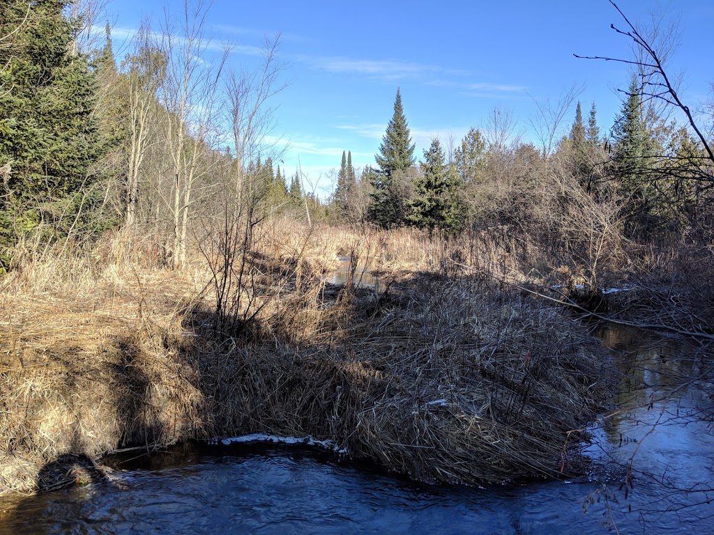 Chattens Creek | Kawartha Lakes, ON K0L 2W0, Canada