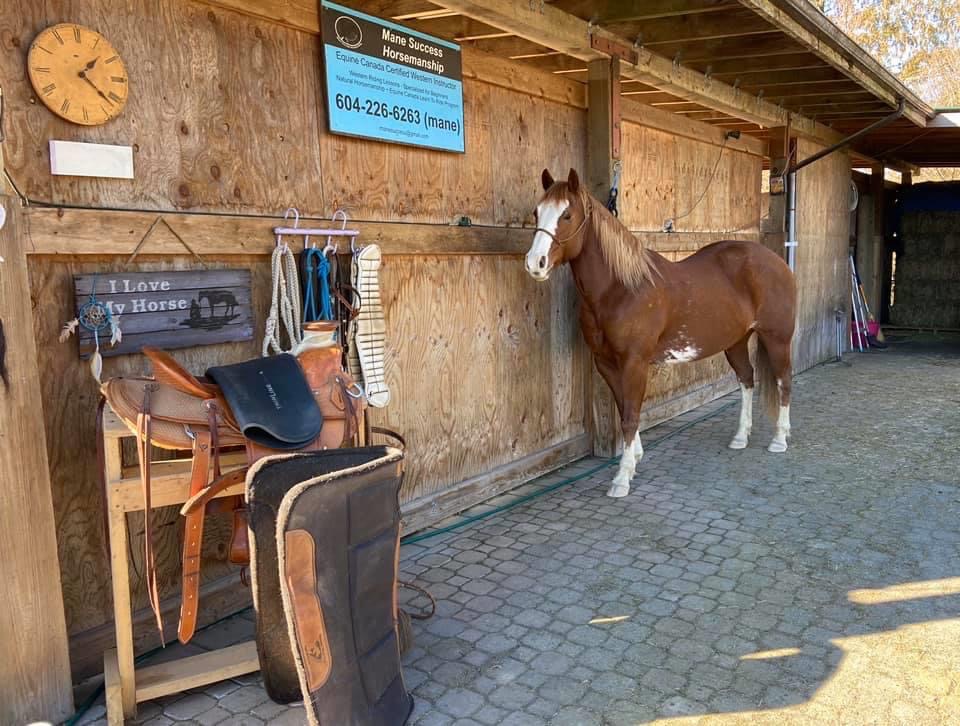 Mane Success Horsemanship | 4581 Bradner Rd, Abbotsford, BC V4X 1S9, Canada | Phone: (604) 226-6263