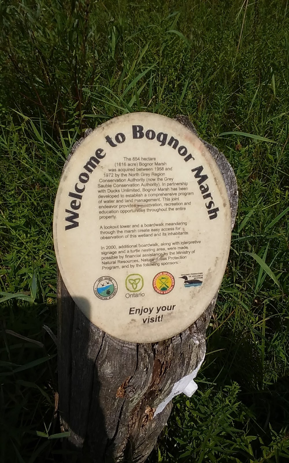 Bognor Marsh Management Area | 104277 Grey County Rd 18, Bognor, ON N0H 1E0, Canada | Phone: (519) 376-3076
