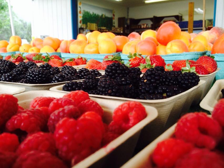 Fruit World | 1330 Maier Rd, Sicamous, BC V0E 2V1, Canada | Phone: (250) 836-5555