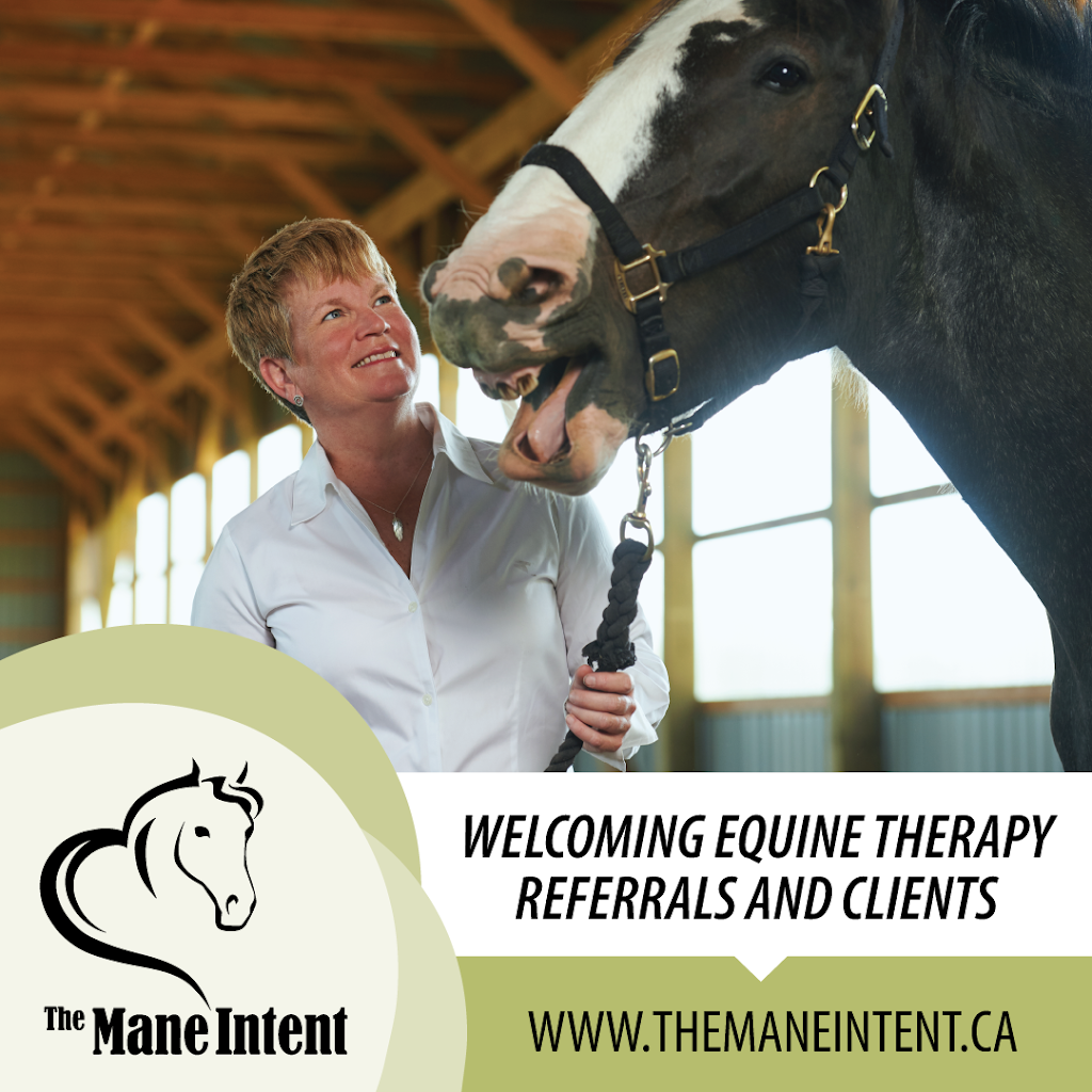 The Mane Intent Inc. | 2410 Cameron Line, Indian River, ON K0L 2B0, Canada | Phone: (416) 347-3235