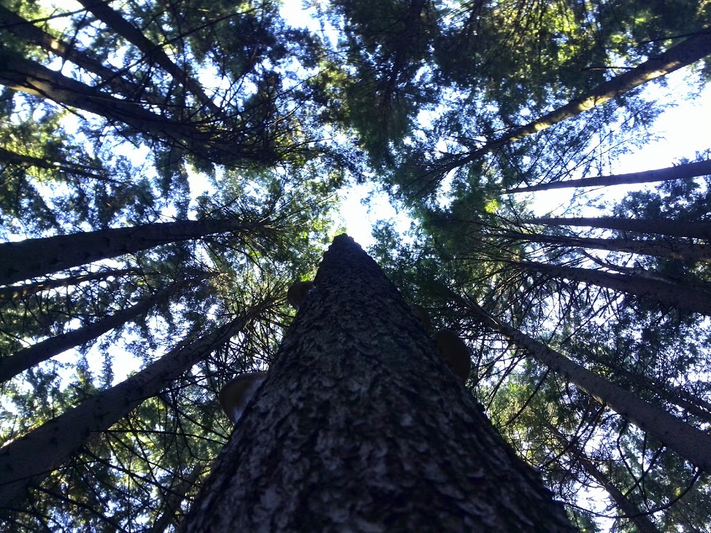 Lost Lake | West Vancouver, BC V0N 1G0, Canada