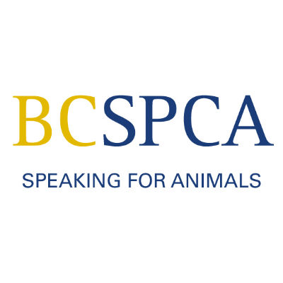 BC SPCA Alberni-Clayoquot | 4936 Broughton St, Port Alberni, BC V9Y 8R6, Canada | Phone: (250) 723-5269