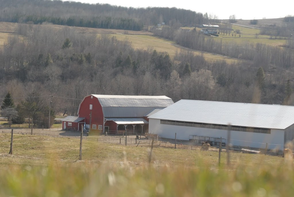 Crazy Horse Ranch | 318 QC-161, Saint-Christophe-dArthabaska, QC G6R 0M9, Canada | Phone: (819) 350-9296