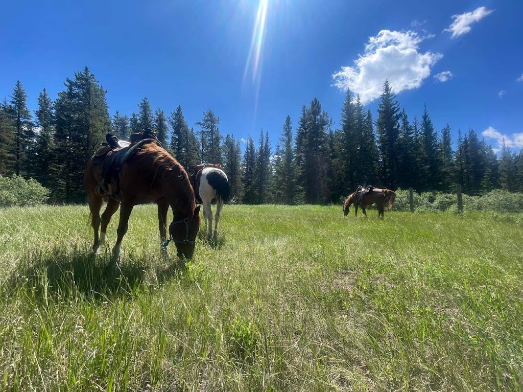 Saddle Peak Trail Rides | Alberta T0L 1N0, Canada | Phone: (403) 922-7430