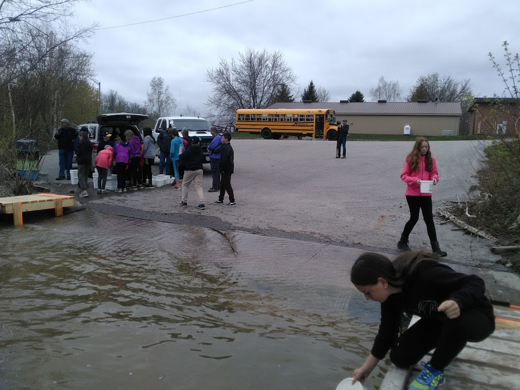 Kincardine Fish Hatchery | 699 Huron Terrace, Kincardine, ON N2Z 2H3, Canada | Phone: (519) 396-5833