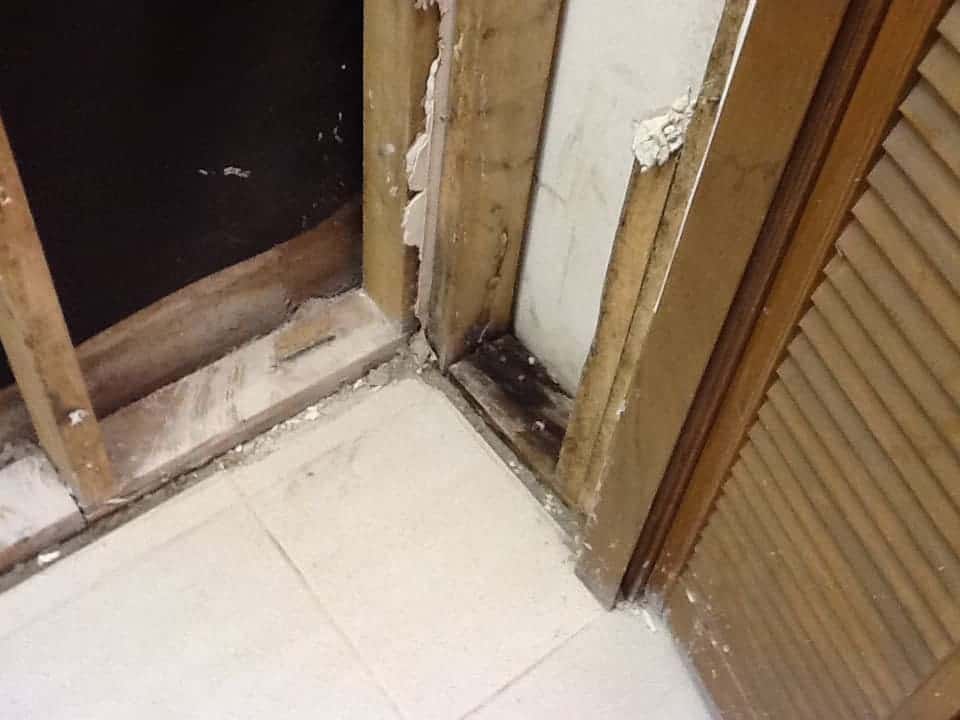 Absolute Mold Remediation Ltd. - Attic Specialists | 30 Cloke Ct, Hamilton, ON L8T 1N5, Canada | Phone: (800) 578-1291