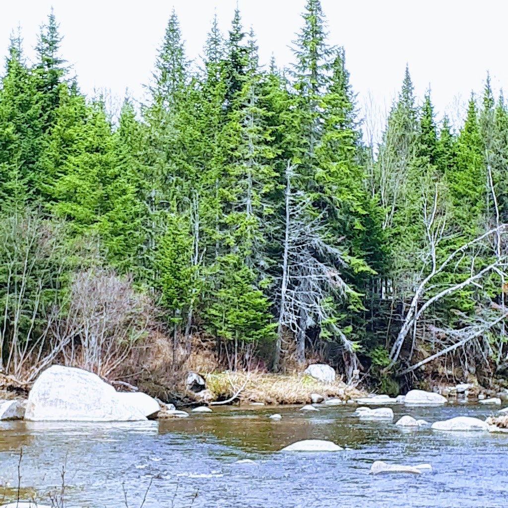 Les kayaks de La Rivière Sauvage | 345 Route Dostie, Saint-Romain, QC G0Y 1L0, Canada | Phone: (418) 486-2100