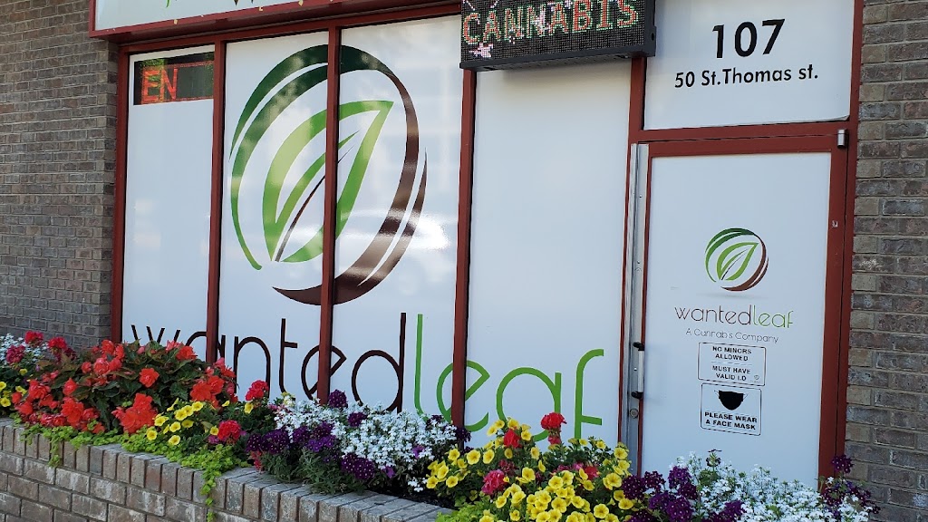 The Wanted Leaf Cannabis Co. | 50 St Thomas St #107, St. Albert, AB T8N 6Z8, Canada | Phone: (587) 290-4200