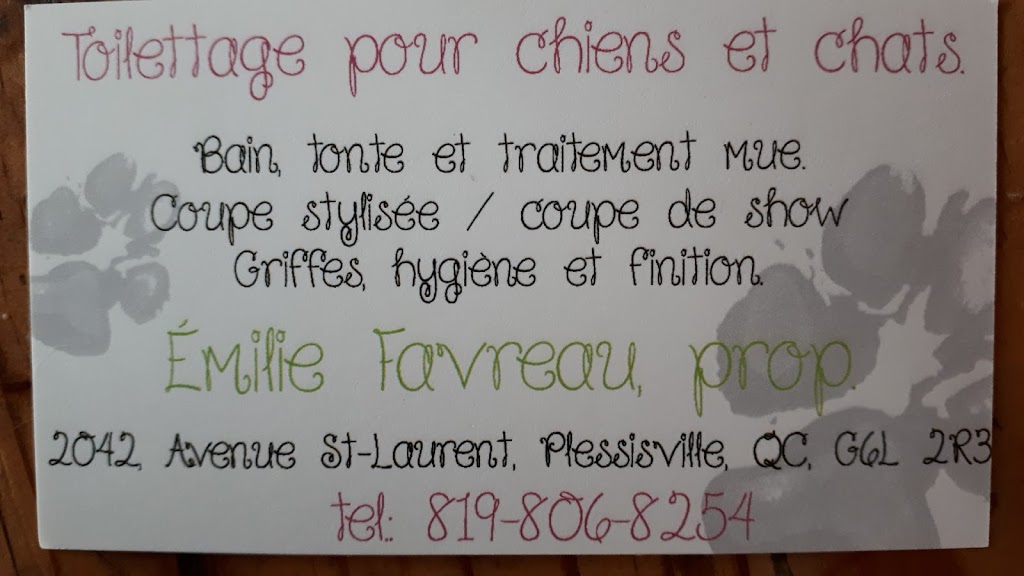 Salon de Toilettage Pattes et Moustaches | 2042 Avenue St Laurent, Plessisville, QC G6L 2R3, Canada | Phone: (819) 806-8254