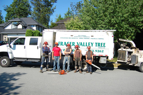 Fraser Valley Tree Service | 4546 Saddlehorn Crescent, Langley City, BC V2Z 1J6, Canada | Phone: (604) 533-9262
