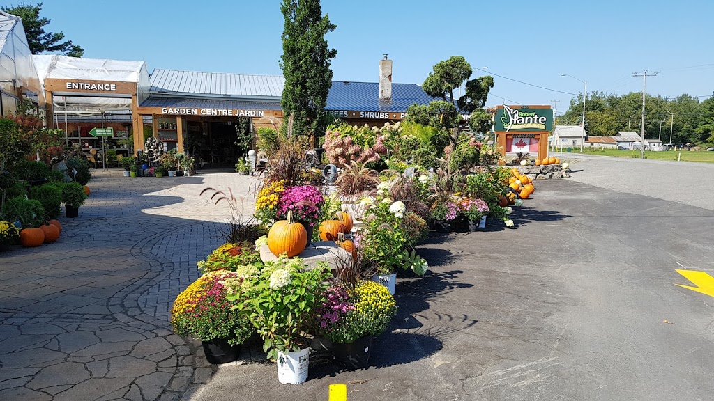 Les Serres Robert Plante Greenhouses | 4228 Navan Rd, Navan, ON K4B 1H9, Canada | Phone: (613) 835-9266