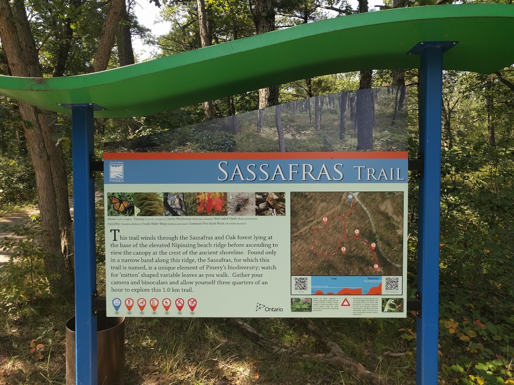 Sassafras Trail | Lambton Shores, ON N0M 1T0, Canada