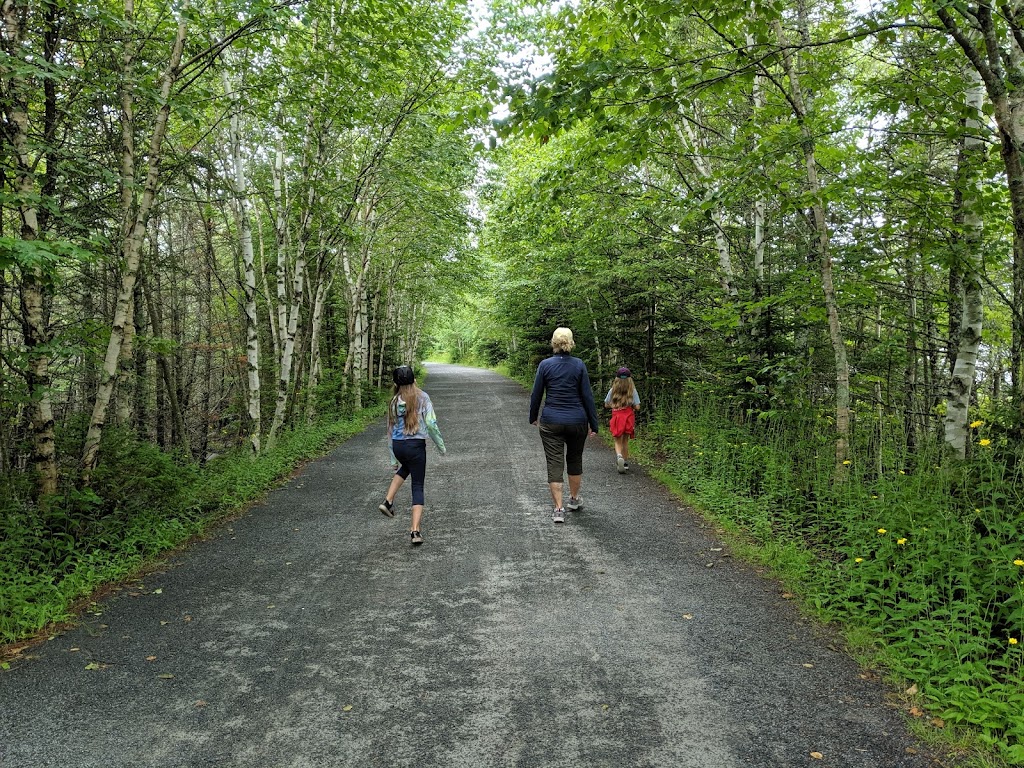 The Bluff Wilderness Hiking Trail (parking lot) | 2890 St Margarets Bay Rd, Timberlea, NS B3T 1H4, Canada | Phone: (902) 876-7377