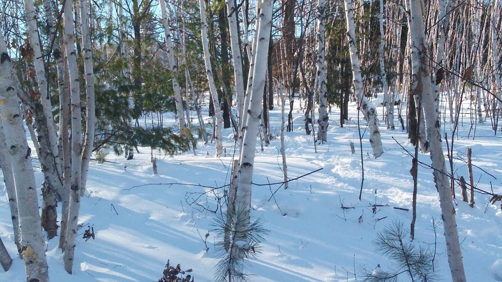 Minnow Lake Conservation Area | Sudbury, ON P3B 1R5, Canada