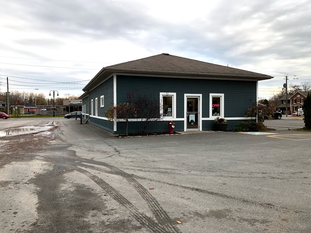 Village Animal Hospital | 108 Queen St #779, Lakefield, ON K0L 2H0, Canada | Phone: (705) 652-5267