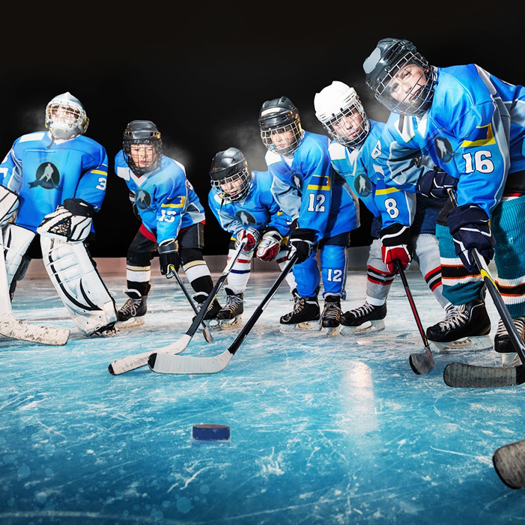 Academy Hockey Des Pros | 169 Chem. Saint-François-Xavier, Delson, QC J5B 1X7, Canada | Phone: (438) 320-4384