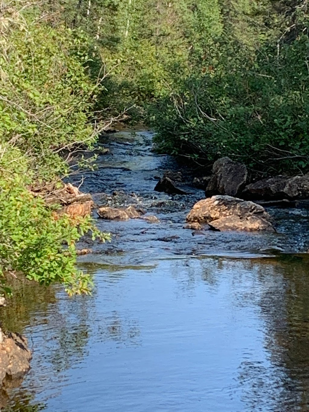 ZEC Lac-de-la-Boiteuse | 699 Chemin du Lac-à-lOurs, Bégin, QC G0V 1B0, Canada | Phone: (418) 544-0129