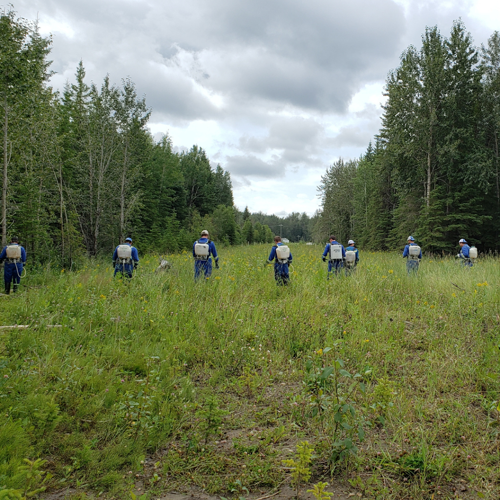 Blueweed Vegetation Control Services | 3930 78 Ave NW, Edmonton, AB T6B 2W4, Canada | Phone: (780) 466-7900