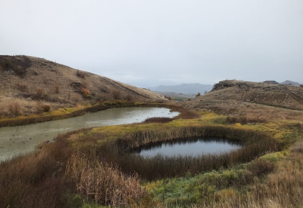 McKergow Meadows | 11503 Middleton Mountain Trail - McKergow Meadows, Vernon, BC V1B 2Z3, Canada