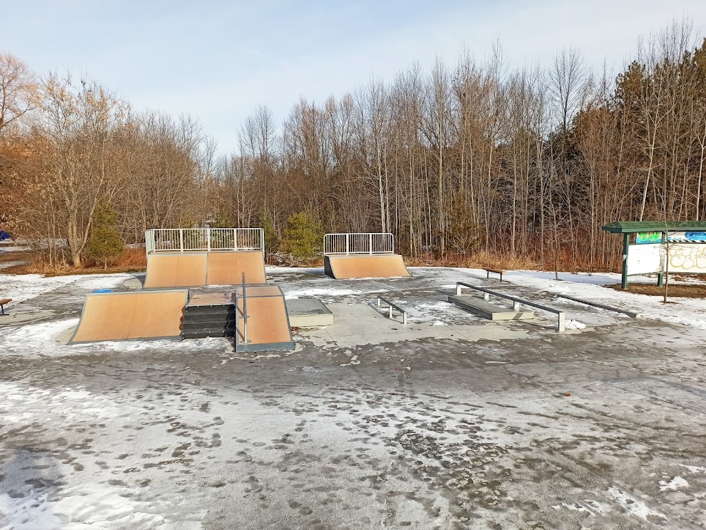 The Wave (Selwyn Skateboard Park) | 20 Concession St, Lakefield, ON K0L 2H0, Canada | Phone: (705) 292-9507