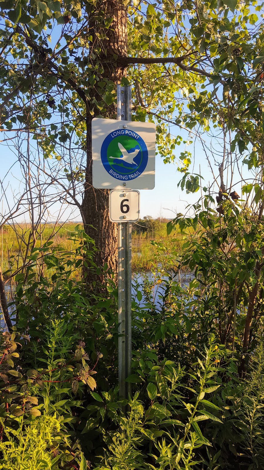 Long Point Birding Trail 6 (Crown Marsh) | Erie Blvd, Port Rowan, ON N0E 1M0, Canada