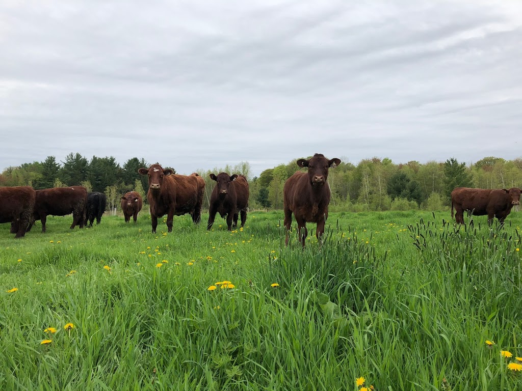 Ferme West Shefford | 254 Chemin Jolley, Shefford, QC J2M 1N4, Canada | Phone: (579) 488-4651