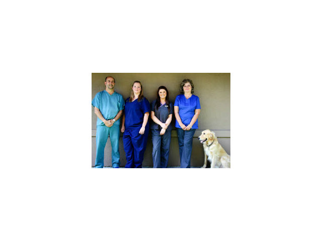 Small Creatures Pet Clinic | 21183 88 Ave Suite 302, Langley City, BC V1M 2G5, Canada | Phone: (604) 888-6123