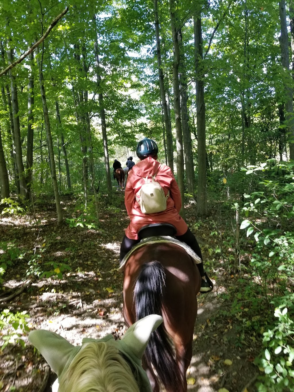 Big Creek Horse Stables - Horseback Riding | 386 Big Creek Rd, Caledonia, ON N3W 2G9, Canada | Phone: (905) 765-5476