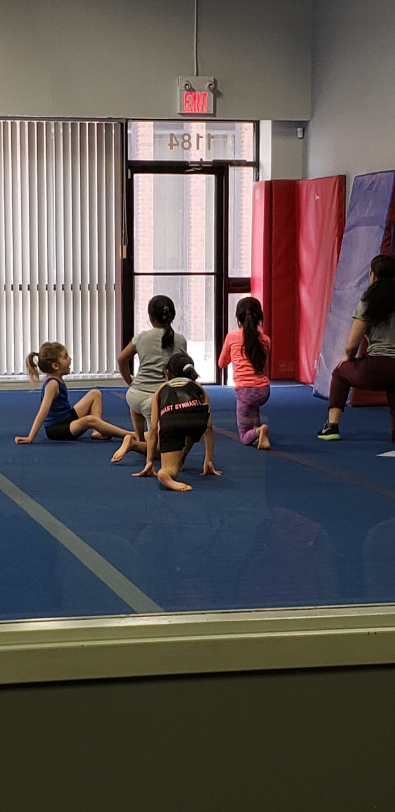 Etobicoke Gymnastics Club | 1186 Martin Grove Rd, Etobicoke, ON M9W 5M9, Canada | Phone: (416) 241-3401