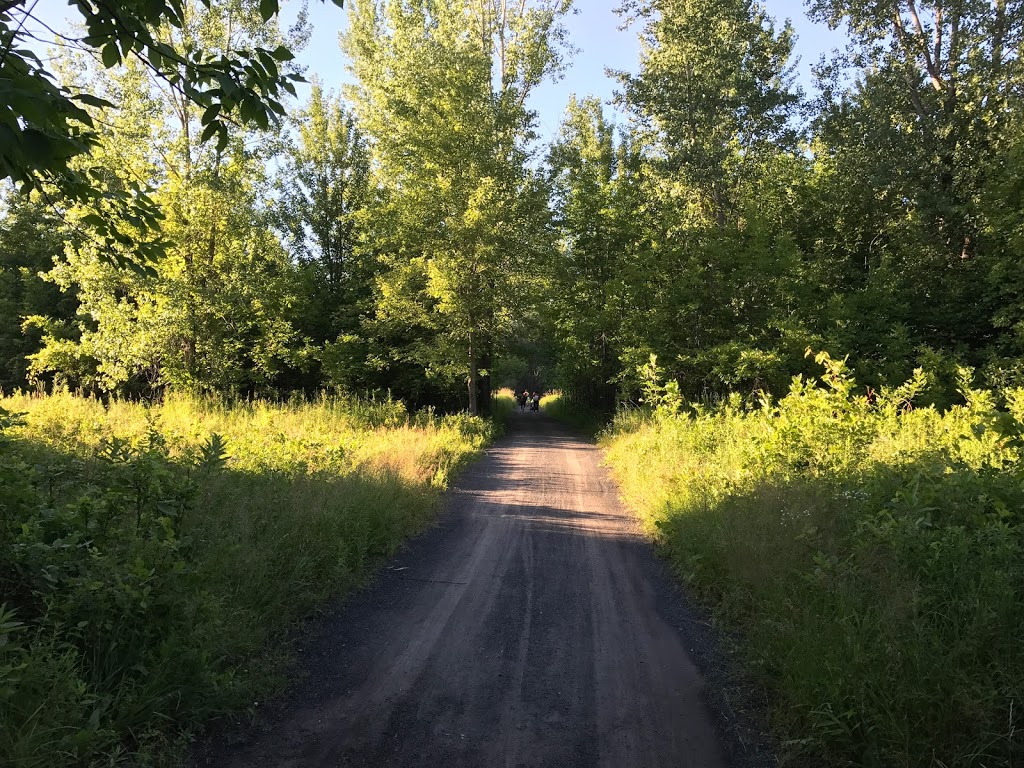 Parc national des Îles-de-Boucherville | 55 Île Sainte Marguerite, Boucherville, QC J4B 5J6, Canada | Phone: (450) 928-5088