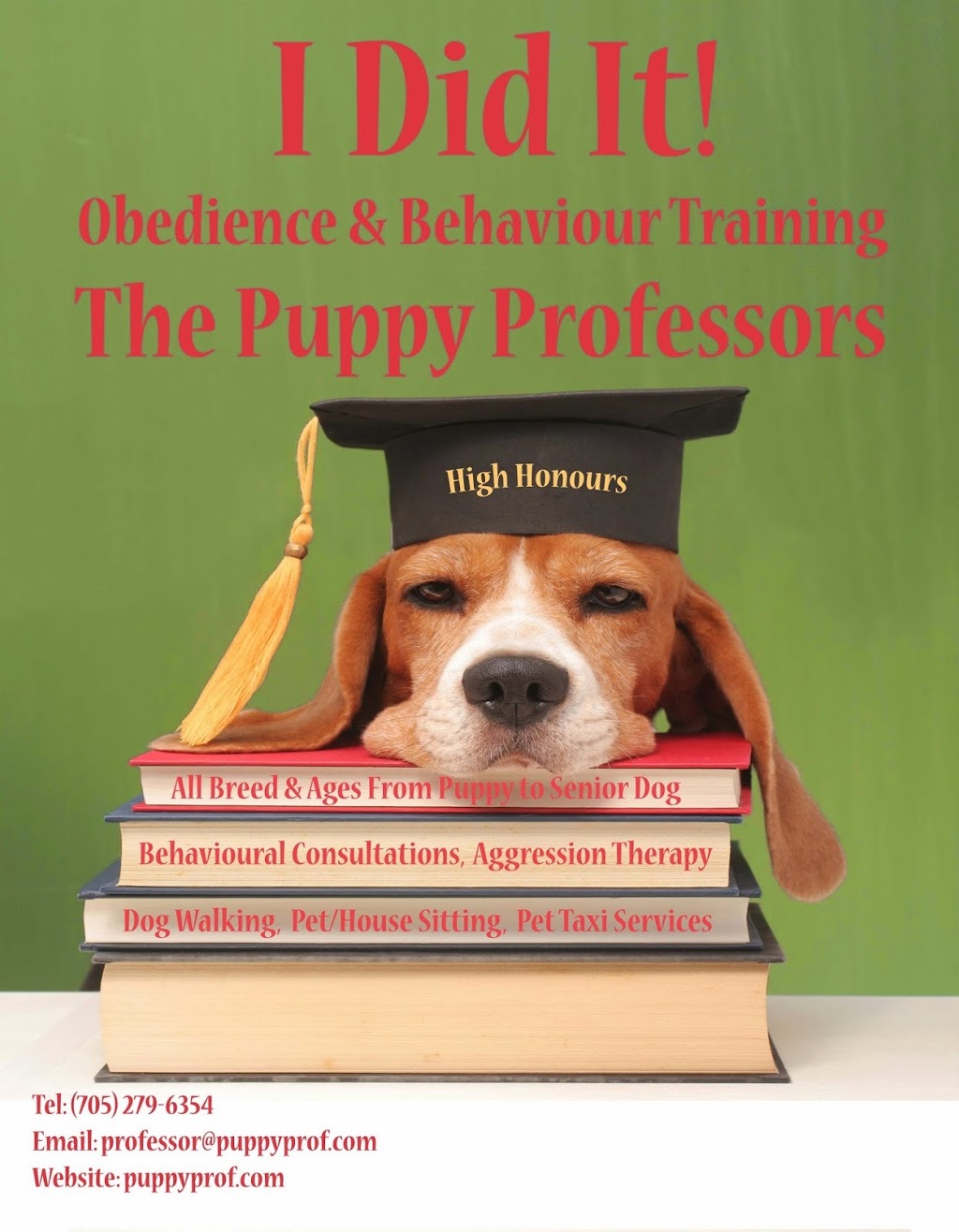The Puppy Professors | 55 Masters Dr, Barrie, ON L4M 6W9, Canada | Phone: (705) 279-6354