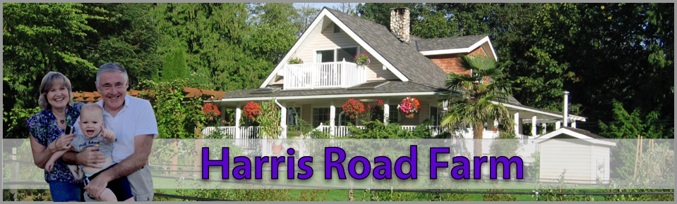 Harris Road Farm | 28538 Harris Rd, Abbotsford, BC V4X 2E9, Canada | Phone: (778) 786-4581