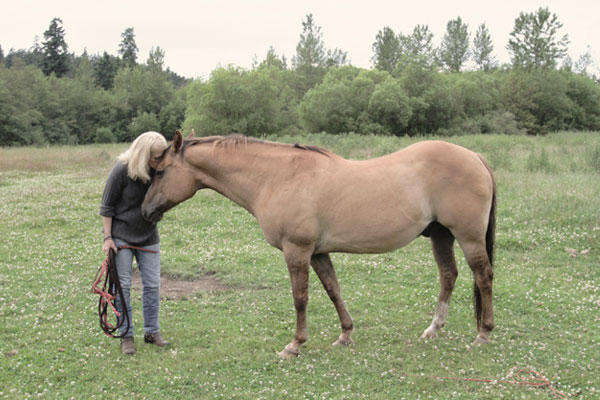 The Clearing | 2687 W Valley Rd, Friday Harbor, WA 98250, USA | Phone: (425) 275-8600