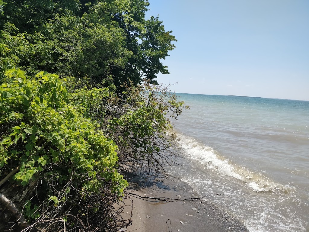 Fish Point Provincial Nature Reserve | McCormick Rd, Pelee Island, ON N0R 1M0, Canada | Phone: (519) 825-4659